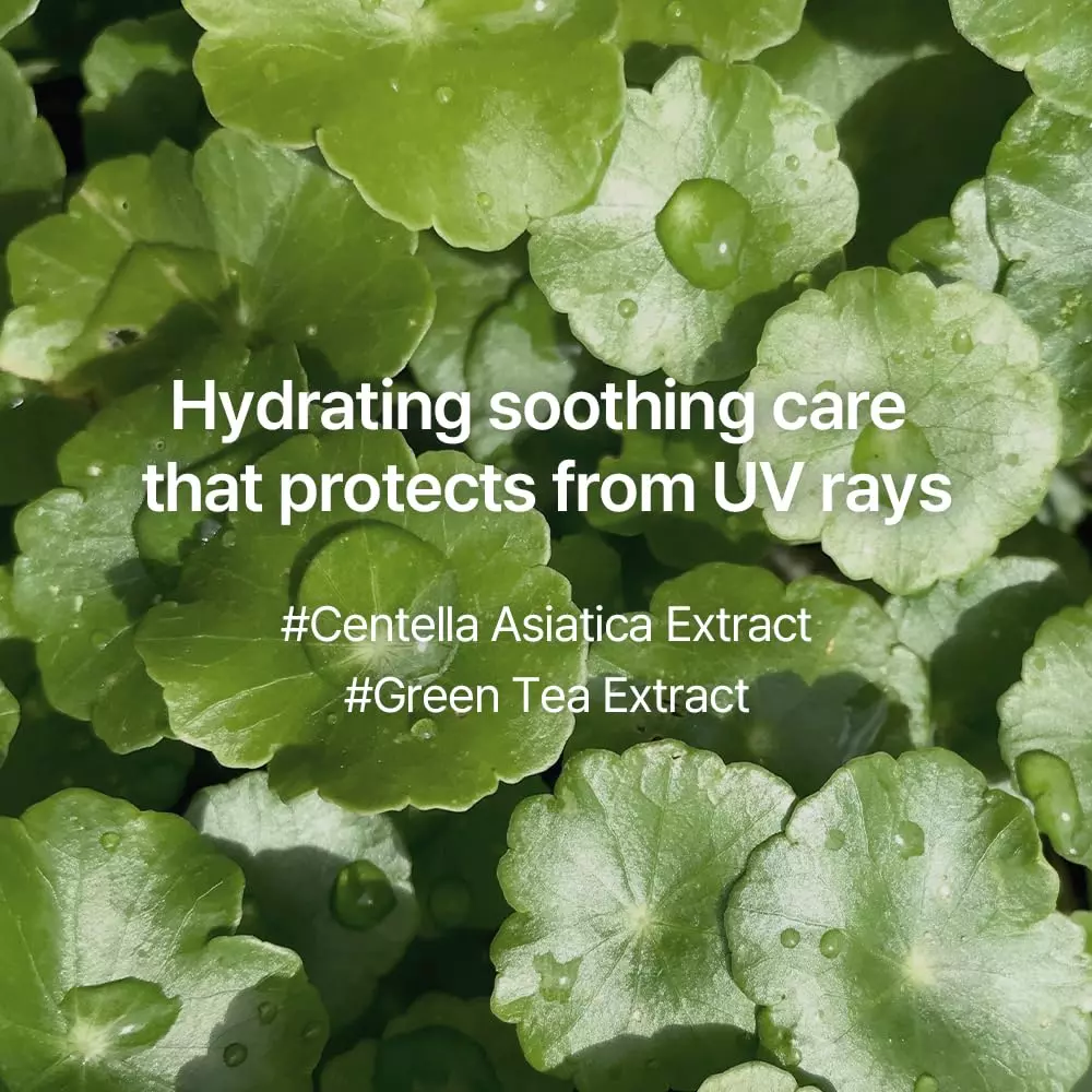 Pyunkang Yul Moisture Soothing Sun Cream
