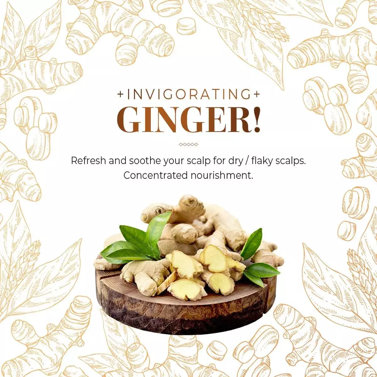 CP-1 Ginger Purifying Conditioner (500ml)