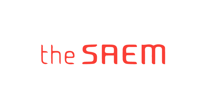 The Saem